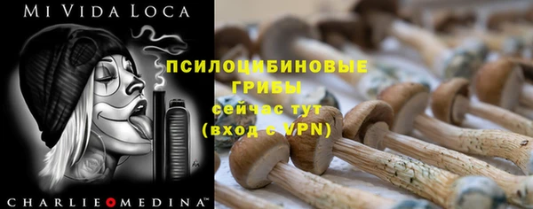 ГАЛЛЮЦИНОГЕННЫЕ ГРИБЫ Арсеньев