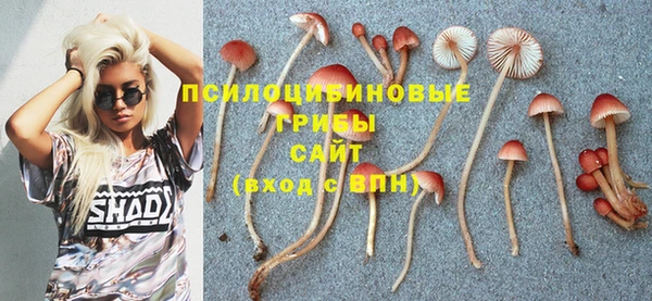 таблы Армянск