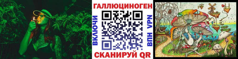 Псилоцибиновые грибы Cubensis  купить   Дзержинск 